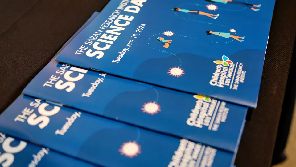 A row of blue event programs displayed on a table
