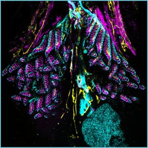 Yellow, teal and magenta shapes spread across a black background.