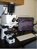 Zeiss_Axioplan_Upright_Microscope 50%.jpg